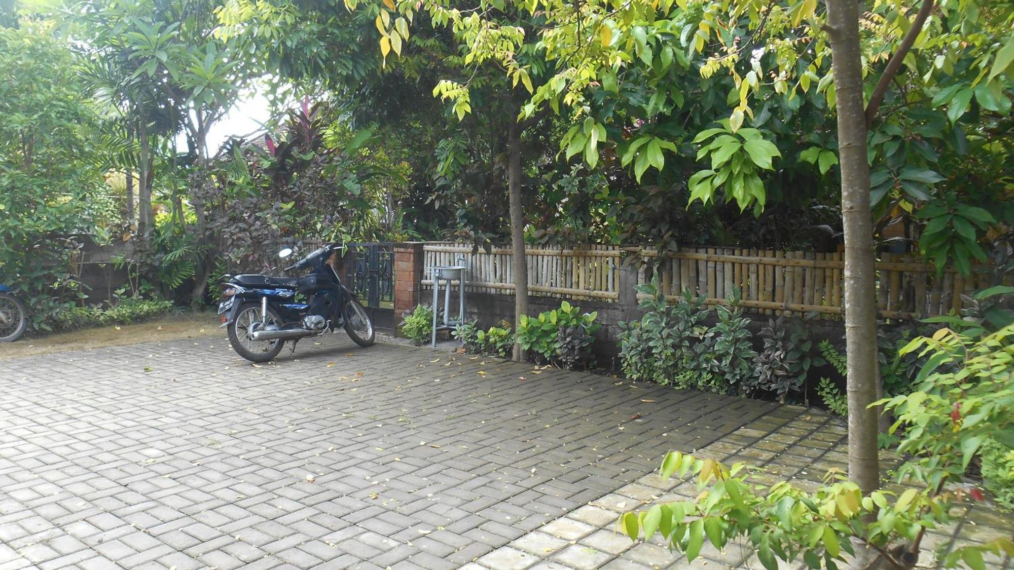 Taman Menjangan Homestay By Snorkelingmenjangan Banyuwedang Exteriér fotografie